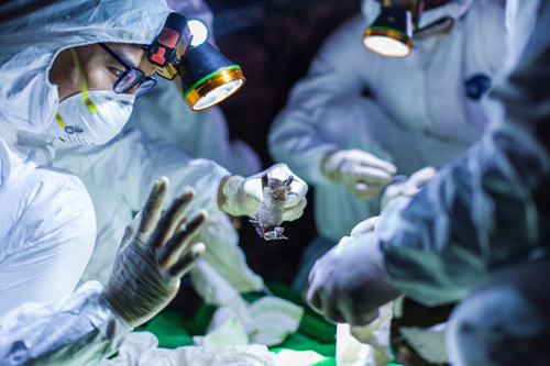 1590397726692072.jpg 内文图.jpg