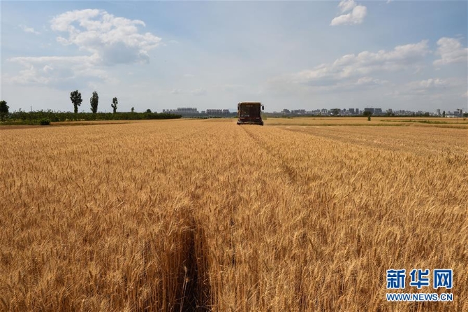 1126037182_15905376194351n