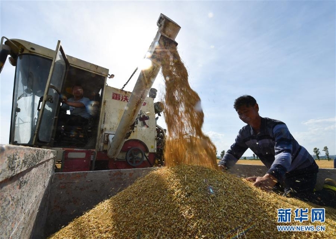 1126037182_15905376195011n