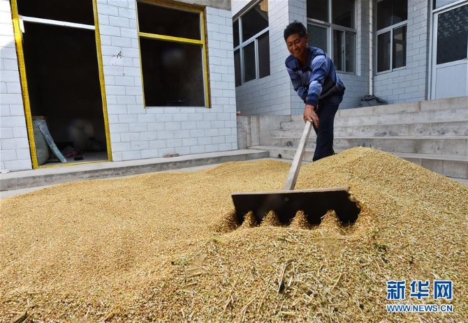 1126037182_15905376195321n