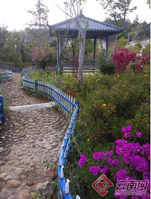 1590629675921592.jpg 3.jpg