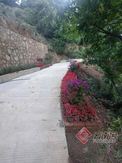 1590629686459697.jpg 4.jpg