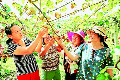 打好脱贫“组合拳” 奔向美好新生活 打好脱贫“组合拳” 奔向美好新生活