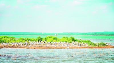 严明生态环境保护责任制度