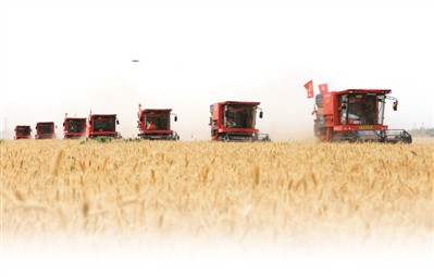 rmrbhwb2020060602p35_b