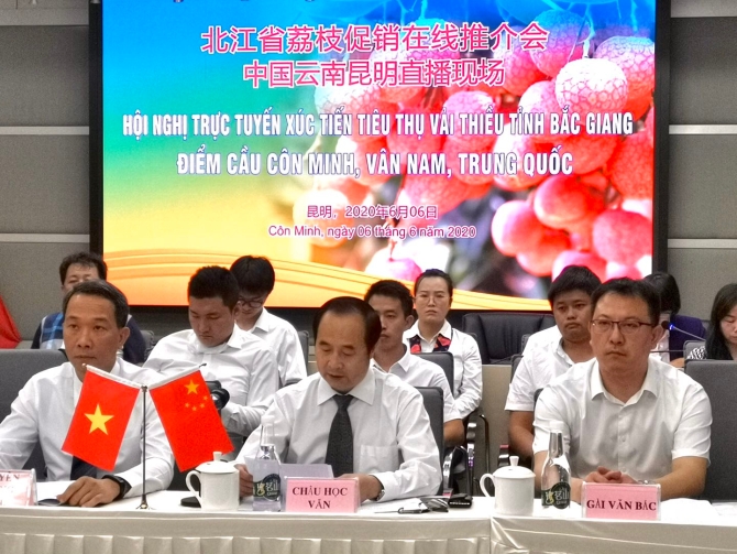 微信图片_20200606155442