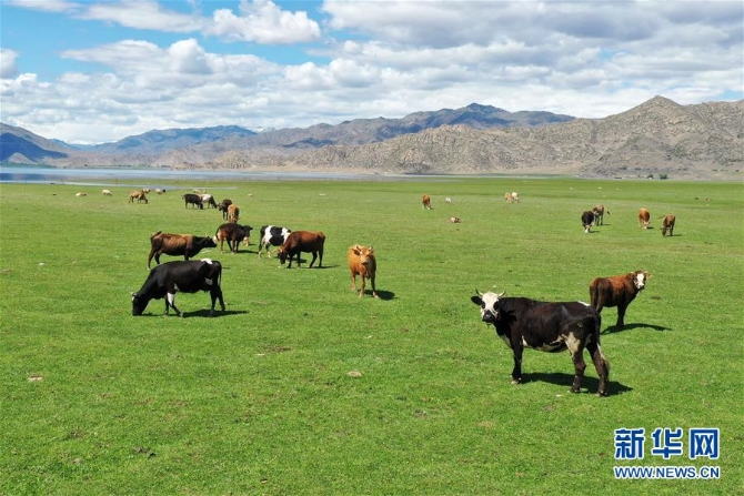 ï¼ç¾ä¸½ä¸å½ï¼ï¼5ï¼å¤æ¥å¯å¯ææµ·