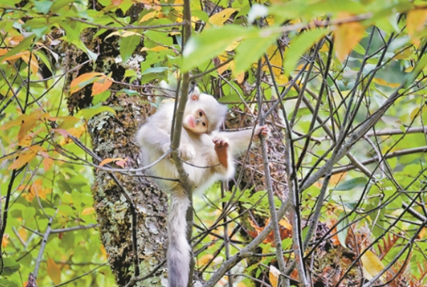 00301789598_03961b3b 00301789598_03961b3b