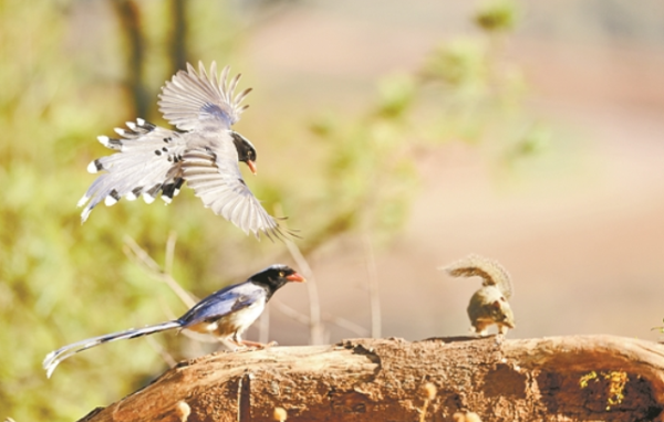 00301789599_a3211d6a 00301789599_a3211d6a