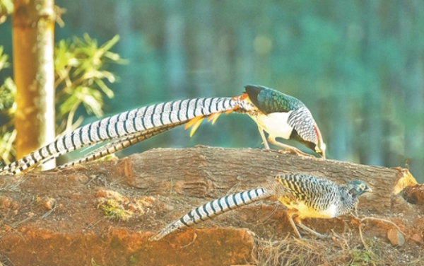 00301789600_094fe7a3 00301789600_094fe7a3