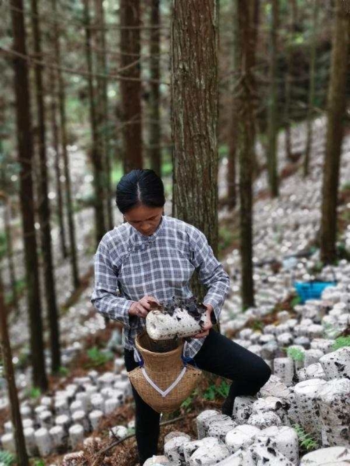 微信图片_20200611203146.jpg?x-oss-process=style/w10