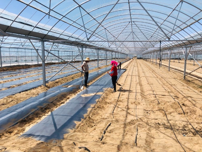 XxjwszC007023_20200612_CBMFN0A002.jpg@1000w_1e_1c_80Q_1x