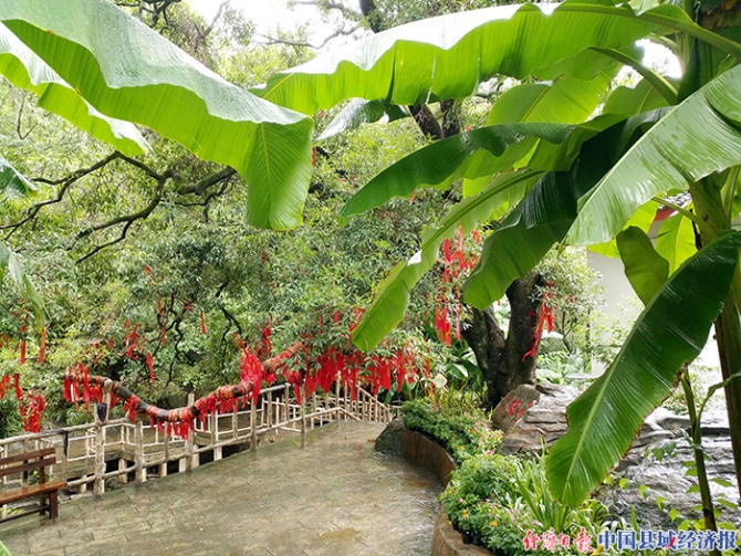 康县白杨镇桂花庄一角。（焦杨红摄）