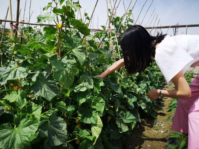 1591951188833924 1591951188833924