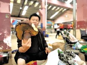 松茸降价十倍 红牛肝菌80元/公斤!昆明20多种野生菌上市 快去“捡相因”