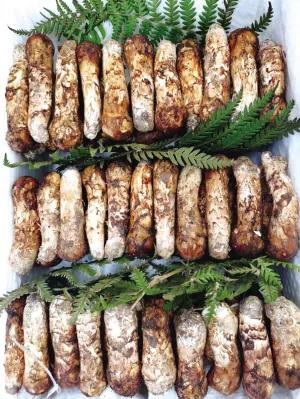 松茸降价十倍 红牛肝菌80元/公斤!昆明20多种野生菌上市 快去“捡相因”