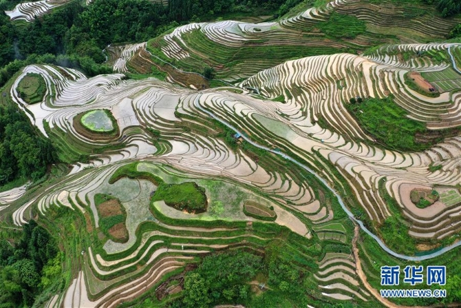 (环境)(4)广西龙胜:夏日龙脊景色迷人