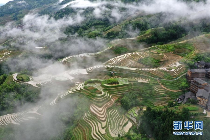 (环境)(7)广西龙胜:夏日龙脊景色迷人