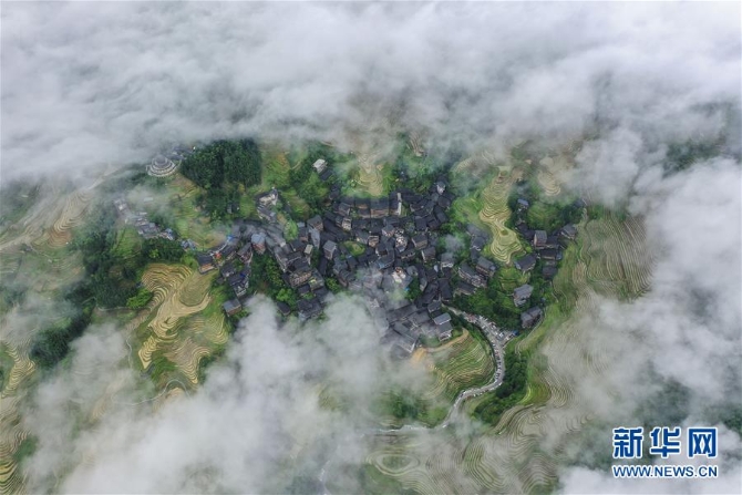 (环境)(2)广西龙胜:夏日龙脊景色迷人