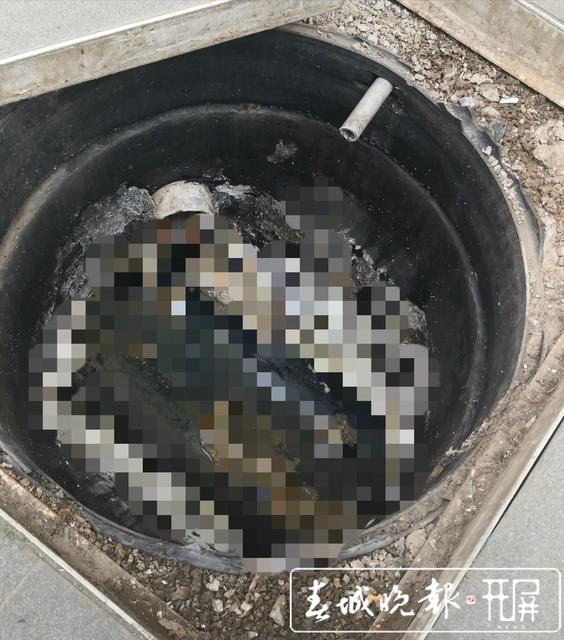 昆明一小区住户家中被污水两次倒灌1.jpg
