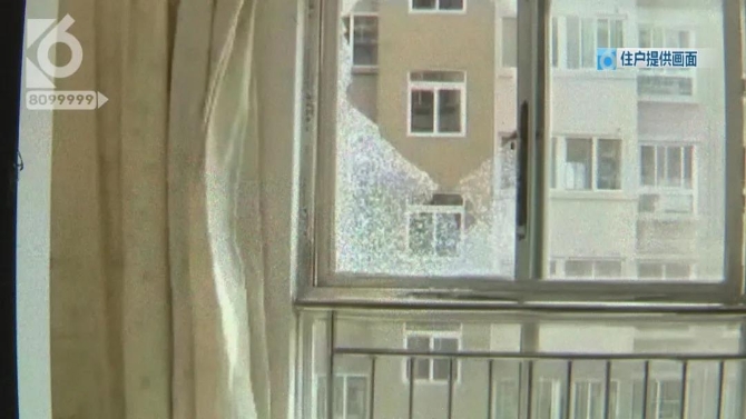 小狗院内莫名身亡    主人怀疑“遭黑枪”