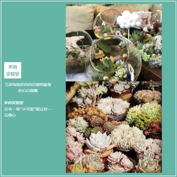 QQ截图20200623160503 QQ截图20200623160503