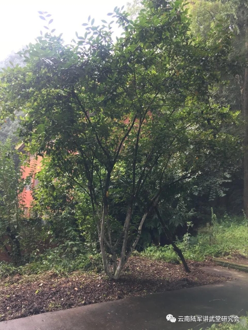 微信图片_20200623204601 微信图片_20200623204601