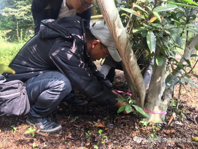 微信图片_20200623204612 微信图片_20200623204612