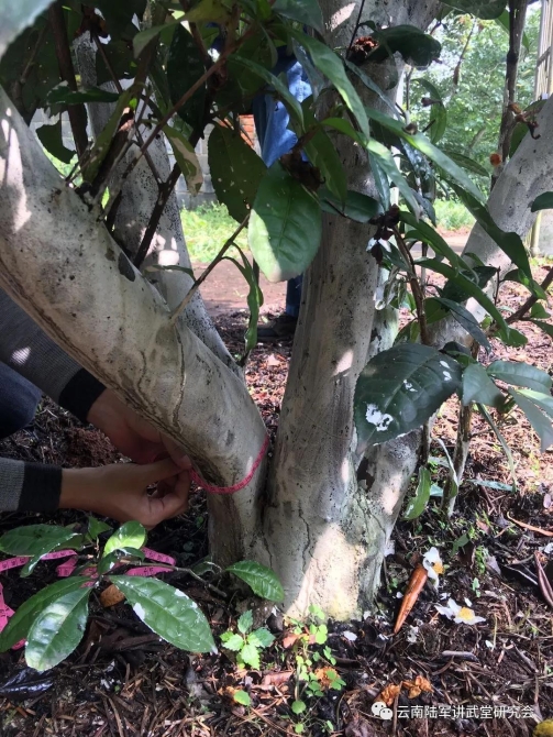 微信图片_20200623204615 微信图片_20200623204615