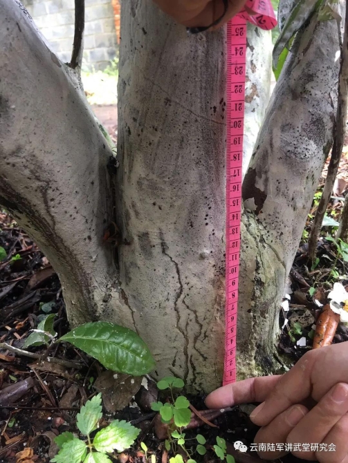 微信图片_20200623204617 微信图片_20200623204617