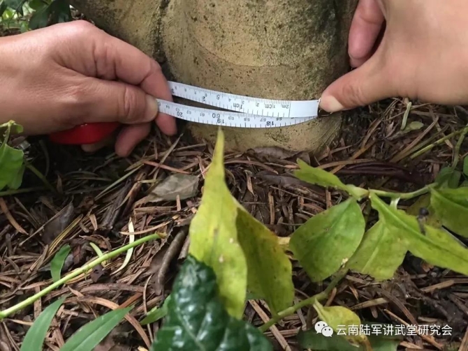 微信图片_20200623204619 微信图片_20200623204619