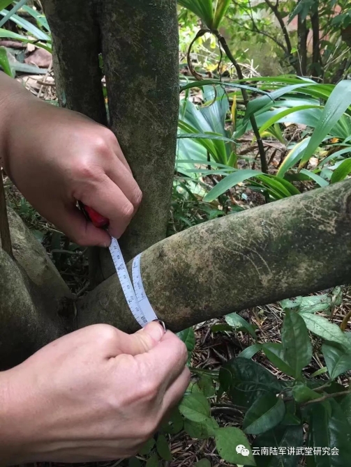 微信图片_20200623204621 微信图片_20200623204621