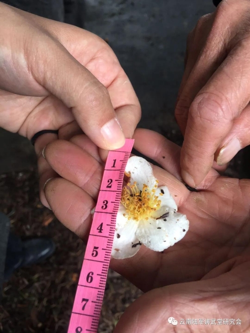 微信图片_20200623204623 微信图片_20200623204623