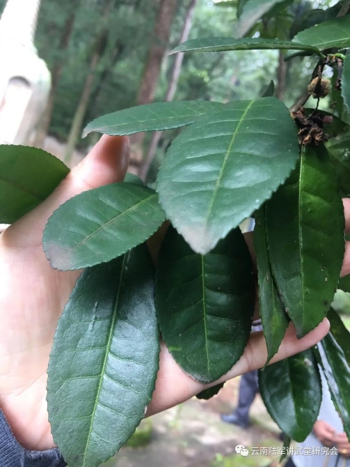 微信图片_20200623204625 微信图片_20200623204625