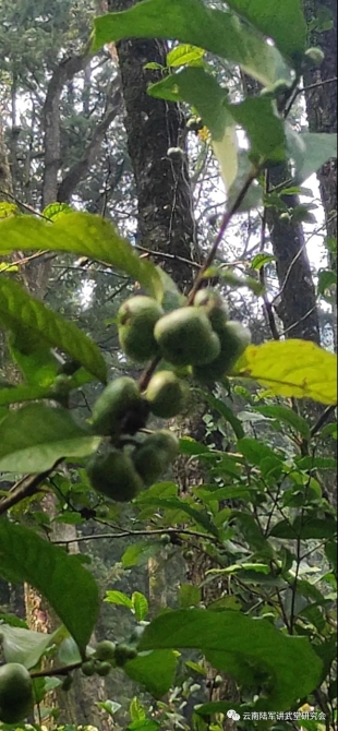 微信图片_20200623204627 微信图片_20200623204627