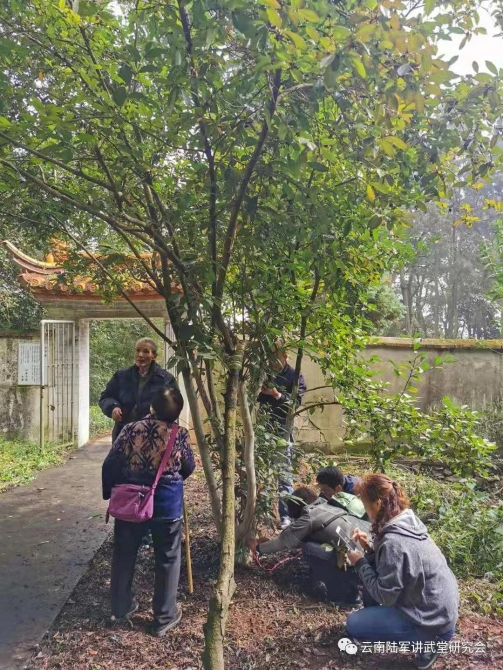 微信图片_20200623204630 微信图片_20200623204630