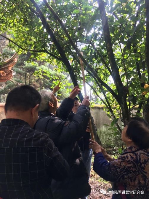 微信图片_20200623204632 微信图片_20200623204632