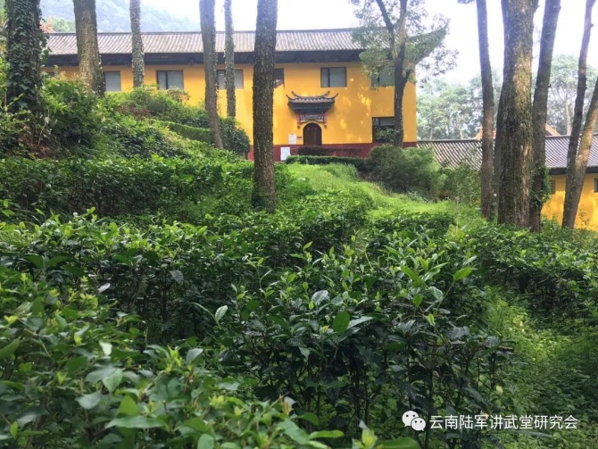 微信图片_20200623204636 微信图片_20200623204636