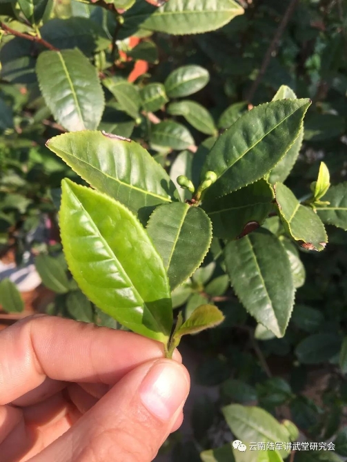 微信图片_20200623204643 微信图片_20200623204643