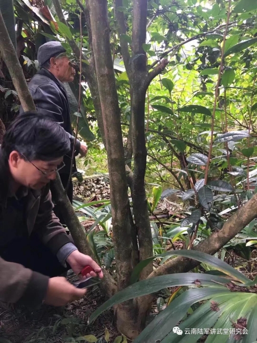 微信图片_20200623204647 微信图片_20200623204647