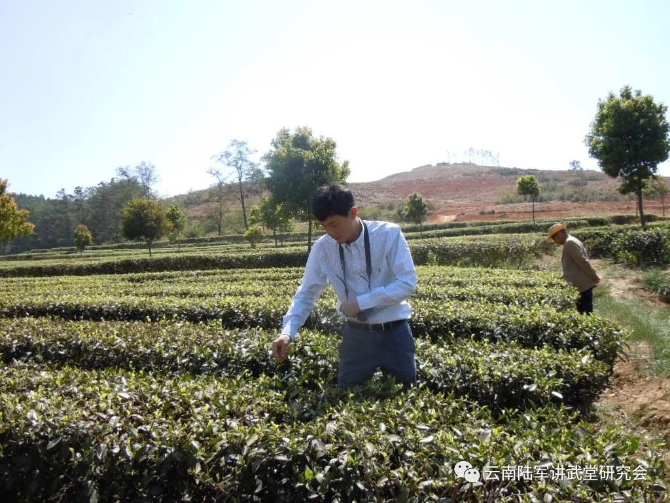 微信图片_20200623205552 微信图片_20200623205552