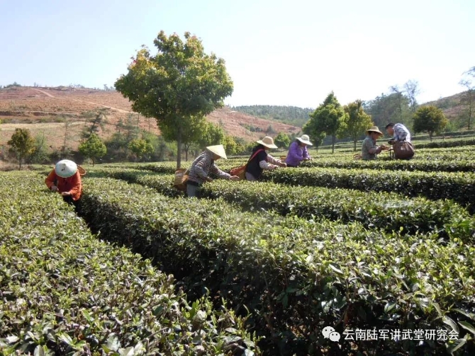 微信图片_20200623205559 微信图片_20200623205559