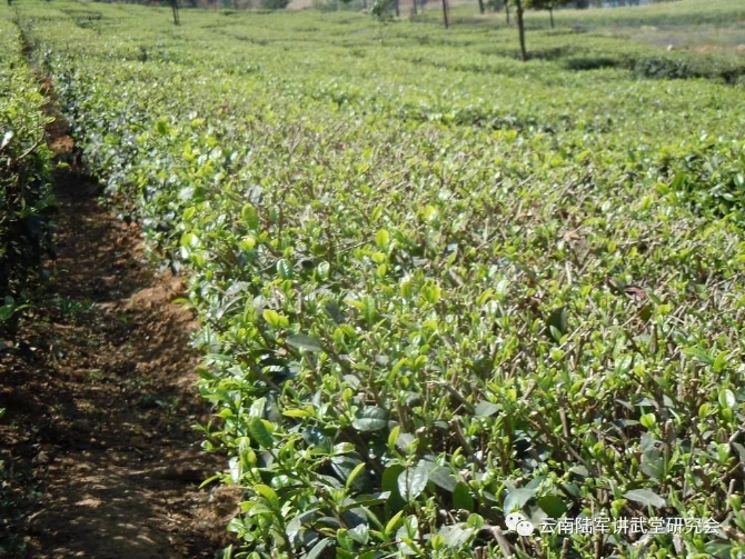 微信图片_20200623205602 微信图片_20200623205602