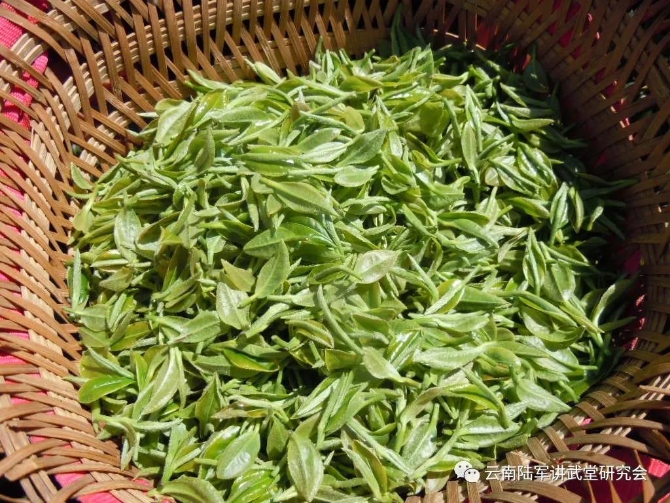 微信图片_20200623205604 微信图片_20200623205604