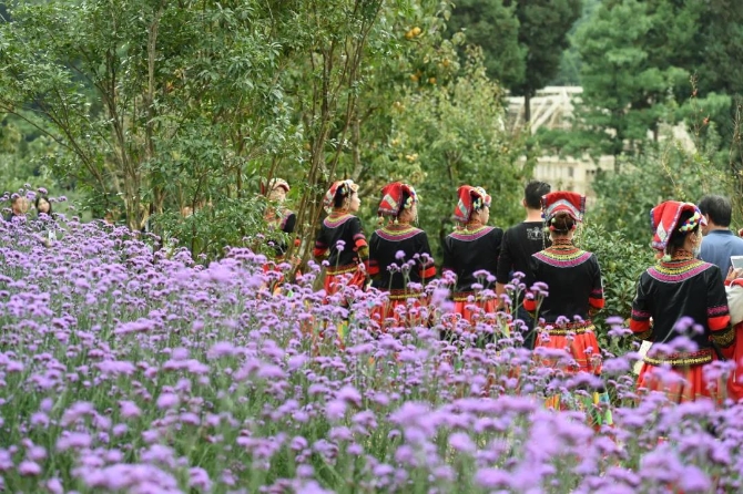 微信图片_20200623211337 微信图片_20200623211337