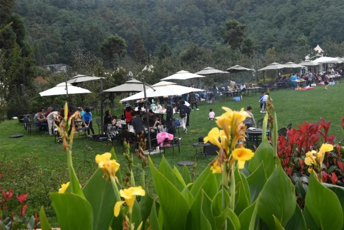 微信图片_20200623211342 微信图片_20200623211342