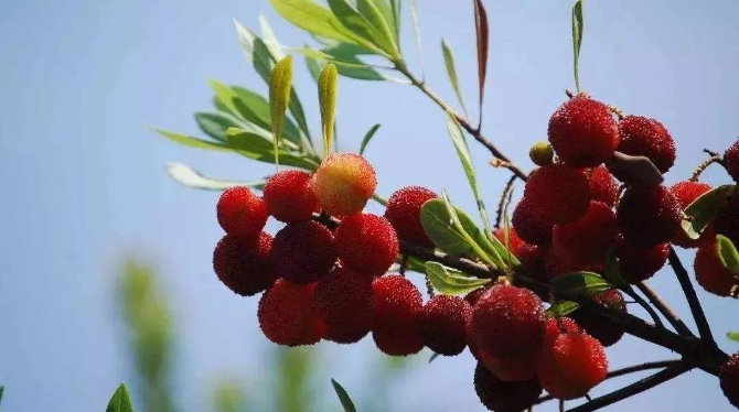 微信图片_20200623211346 微信图片_20200623211346