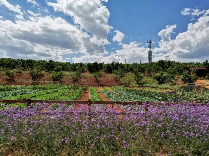 微信图片_20200623211350 微信图片_20200623211350