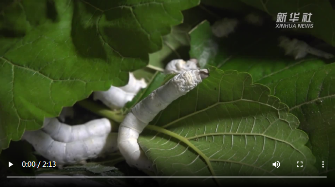 微信截图_20200625103742