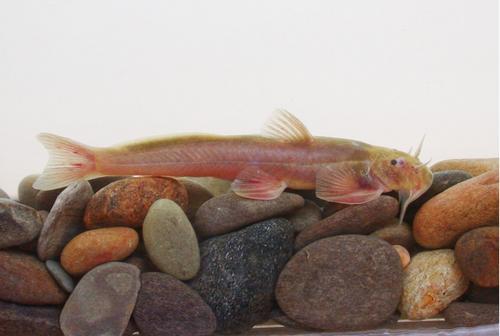 binary_middle (1) - 副本.jpg